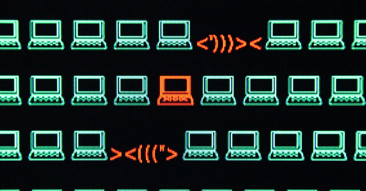 Can you spot the phishing clues? And 10 tips to avoid falling for a phishing scam